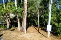 Property photo of 14 First Ridge Road Smiths Lake NSW 2428
