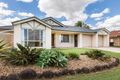 Property photo of 8 Gumnut Court Calamvale QLD 4116