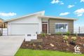 Property photo of 26 Kingfisher Drive Bli Bli QLD 4560