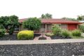Property photo of 1 Fiscom Street Marion SA 5043