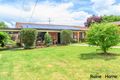 Property photo of 4 Kent Avenue Armidale NSW 2350