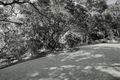 Property photo of 19 Longview Close Wamberal NSW 2260