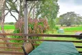 Property photo of 113 River Road Glenthorne NSW 2430