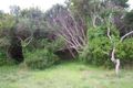 Property photo of 507 Dundas Street St Andrews Beach VIC 3941