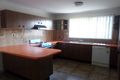 Property photo of 24 Tucks Road Toongabbie NSW 2146