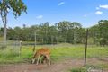 Property photo of 8 Andrew Road Woolooga QLD 4570