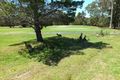 Property photo of 16 Gymea Avenue Sanctuary Point NSW 2540