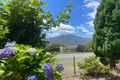 Property photo of 35 Kiewa Valley Highway Tawonga South VIC 3698