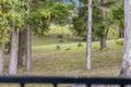 Property photo of 10 Greensboro Place Little Mountain QLD 4551