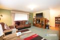 Property photo of 49 Nardoo Street Red Cliffs VIC 3496