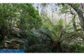 Property photo of 269 Buckleys Road Bemboka NSW 2550