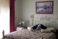 Property photo of 9 Toulon Place Greenwith SA 5125