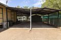 Property photo of 34 Nutwood Crescent Kununurra WA 6743