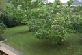 Property photo of 2/13-15 Junction Road Blackburn North VIC 3130