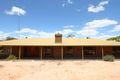 Property photo of 161 Thiele Road Loveday SA 5345