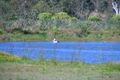 Property photo of 37-41 Racecourse Place Tamborine QLD 4270