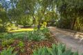 Property photo of 420 The Terrace Risdon Park SA 5540