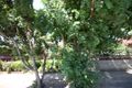 Property photo of 19 Calstock Avenue Edwardstown SA 5039