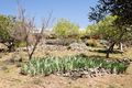 Property photo of 309 Stoney Creek Road Berridale NSW 2628