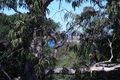 Property photo of 17/214-216 Pacific Highway Greenwich NSW 2065