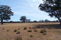 Property photo of 3 Old Caves Road Naracoorte SA 5271