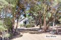 Property photo of 16 Sabato Street Rye VIC 3941