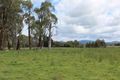 Property photo of 44 Strachan Road Spring Hill NSW 2800