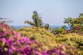 Property photo of 71 Mooring Crescent Ocean Reef WA 6027