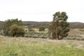 Property photo of LOT 5 Blyth Road Armagh SA 5453