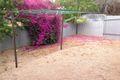 Property photo of 1/2 Mortimer Road Berri SA 5343