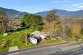 Property photo of 184 Kiewa Valley Highway Tawonga VIC 3697