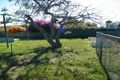 Property photo of 3 Craig Street South Carnarvon WA 6701