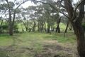 Property photo of 660 Great Ocean Road Bellbrae VIC 3228