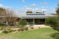 Property photo of 326 Gordon Road Loveday SA 5345
