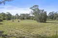 Property photo of 28 Racecourse Road Barmaryee QLD 4703