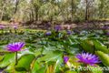 Property photo of 32-38 Currawong Court Tamborine QLD 4270