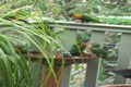 Property photo of 61 Hersden Court Bonogin QLD 4213