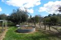 Property photo of 326 Gordon Road Loveday SA 5345