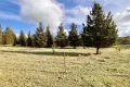Property photo of 3814 Oallen Ford Road Windellama NSW 2580