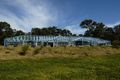 Property photo of 20 Sugarloaf Creek Road Pheasants Nest NSW 2574