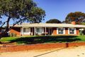 Property photo of 19 Thiele Avenue Loxton SA 5333