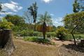 Property photo of 12 El Paso Street Bardon QLD 4065