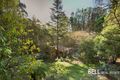Property photo of 95 Emerald-Monbulk Road Emerald VIC 3782