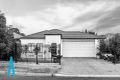 Property photo of 8A Tarpeena Avenue Windsor Gardens SA 5087