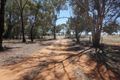Property photo of 3060 Olympic Highway Yathella NSW 2650