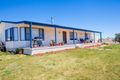 Property photo of 167 Tarrawingee Road Mumbil NSW 2820