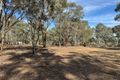 Property photo of 457 Dunolly-Moliagul Road Dunolly VIC 3472