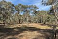 Property photo of 457 Dunolly-Moliagul Road Dunolly VIC 3472