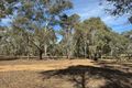 Property photo of 457 Dunolly-Moliagul Road Dunolly VIC 3472