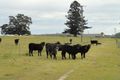 Property photo of 1005 Benns Road Piora NSW 2470